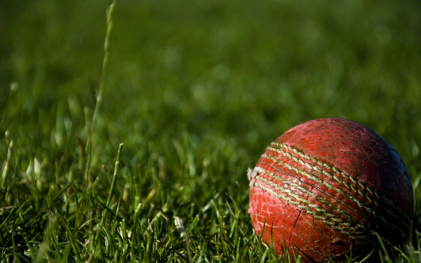 Photo representing Cricket